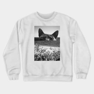 RipTide Crewneck Sweatshirt